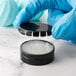 Gloved hands holding a black round container with a black lid containing white substance.