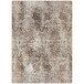 An ornate brown and beige rectangular area rug with a patterned surface.