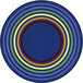 A multicolored circular rug with rings of different colors.