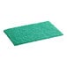 A green scouring pad on a white background.