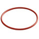 A red rubber O-ring.