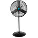 A black Tornado metal pedestal fan on a white background.