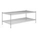 A Regency chrome stationary wire shelving starter kit with 2 shelves.