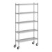 A Regency stainless steel wire shelving unit with wheels.