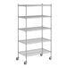 A Regency chrome wire shelving unit with five shelves.