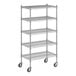 A Regency chrome wire shelving starter kit with 5 shelves.