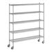 A Regency stainless steel wire shelving unit with wheels.