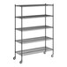 A black Regency wire shelving unit with wheels.