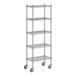 A Regency stainless steel wire shelving unit with five shelves.