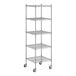 A Regency stainless steel wire shelving unit with five shelves.