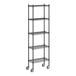 A Regency black wire shelving starter kit with wheels.