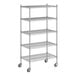 A Regency chrome wire shelving starter kit with 5 shelves.