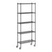 A Regency black wire shelving starter kit with wheels and 5 shelves.