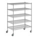 A Regency chrome wire shelving starter kit with five shelves.