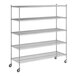 A Regency stainless steel wire shelving unit with wheels and five shelves.