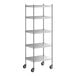 A Regency stainless steel shelving unit with wheels.