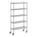A white wireframe of a Regency chrome mobile shelving unit with 5 shelves.
