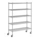 A Regency chrome wire shelving starter kit with 5 shelves.