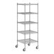 A wireframe of a Regency chrome wire shelving unit with four shelves.