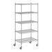 A wireframe of a Regency stainless steel wire shelving unit with 5 shelves.