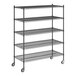 A Regency black wire shelving starter kit with 5 shelves and wheels.