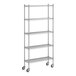 A Regency stainless steel wire shelving unit with wheels.