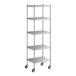 A Regency stainless steel shelving unit on wheels with 5 shelves.