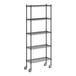 A Regency black wire shelving starter kit with wheels.