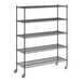 A black metal Regency wire shelving unit with wheels.