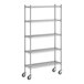 A Regency chrome wire shelving starter kit with wheels.