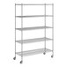 A Regency chrome wire shelving unit with wheels and five shelves.