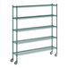 A green Regency wire shelving starter kit with wheels.