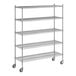 A Regency chrome wire shelving starter kit with 5 shelves.