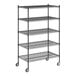 A black Regency wire shelving unit with wheels and five shelves.