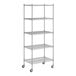 A Regency chrome wire shelving unit with 5 shelves.