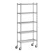 A Regency chrome mobile wire shelving unit with 5 shelves and wheels.