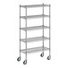 A Regency chrome wire shelving unit with five shelves.