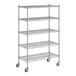 A Regency chrome wire shelving starter kit with five shelves.