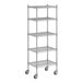 A Regency stainless steel wire shelving unit with five shelves.