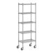 A wireframe of a chrome Regency wire shelving unit with four shelves.