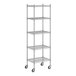 A Regency stainless steel wire shelving unit with five shelves.