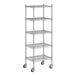 A Regency chrome wire shelving unit with five shelves.