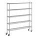 A Regency chrome wire shelving starter kit with 5 shelves.