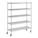 A Regency chrome wire shelving unit with wheels and five shelves.