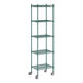 A green Regency wire shelving unit with wheels.