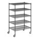 A black metal Regency wire shelving unit with wheels and five shelves.