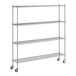 A Regency chrome mobile wire shelving starter kit with wheels.