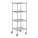 A Regency stainless steel wire shelving unit with wheels.