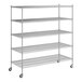 A Regency chrome wire shelving unit with five shelves.