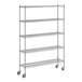 A Regency chrome wire shelving unit with five shelves.